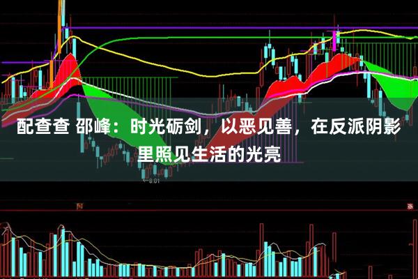 配查查 邵峰：时光砺剑，以恶见善，在反派阴影里照见生活的光亮