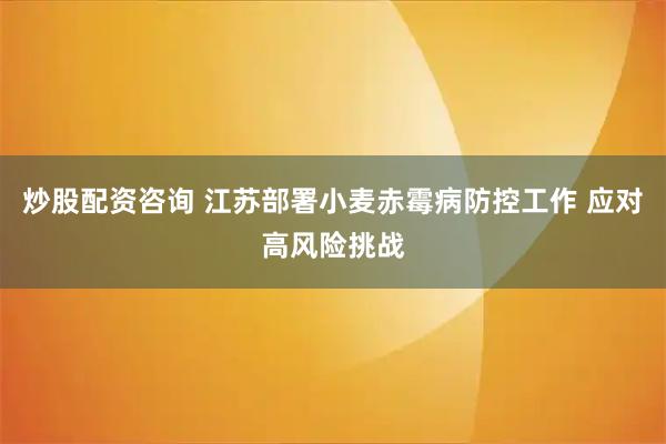 炒股配资咨询 江苏部署小麦赤霉病防控工作 应对高风险挑战